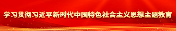 喜欢你的大肉棒操我视频学习贯彻习近平新时代中国特色社会主义思想主题教育